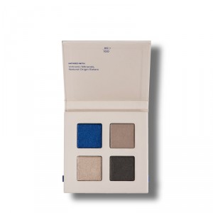  Real Color Palette Ombres à Paupières 02 Smokey Sea 
